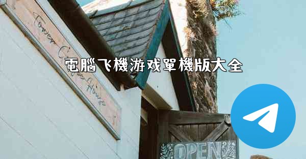 電腦飞機游戏單機版大全