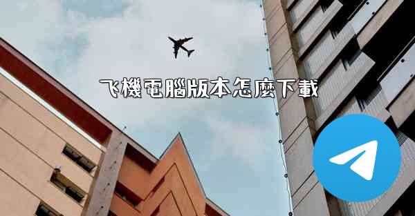 飞機電腦版本怎麼下載