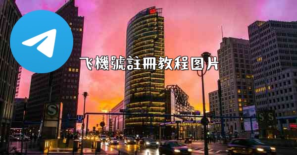 飞機號註冊教程图片