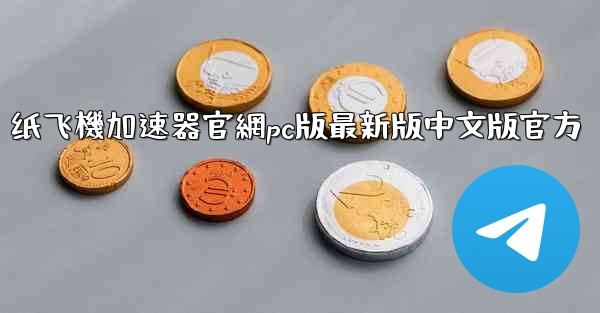 纸飞機加速器官網pc版最新版中文版官方