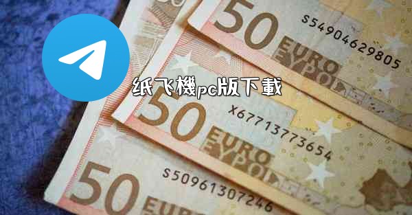 纸飞機pc版下載