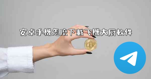 安卓手機怎麼下載飞機大厨軟件