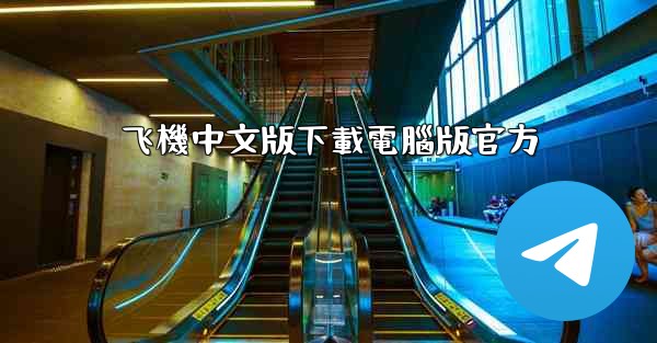 飞機中文版下載電腦版官方