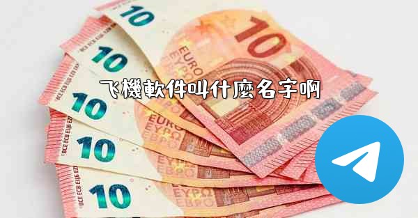 飞機軟件叫什麼名字啊