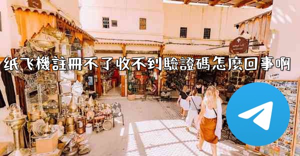 纸飞機註冊不了收不到驗證碼怎麼回事啊