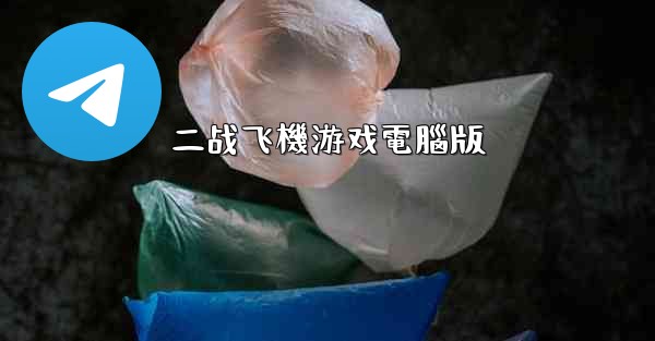 二战飞機游戏電腦版