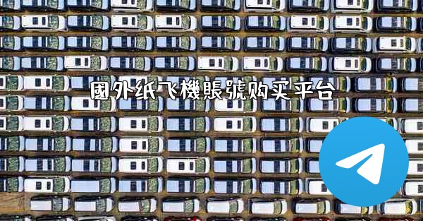 國外纸飞機賬號购买平台