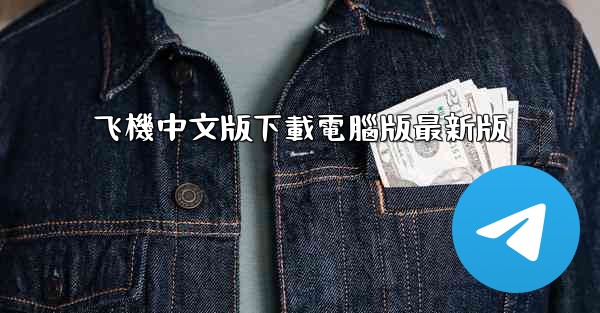 飞機中文版下載電腦版最新版