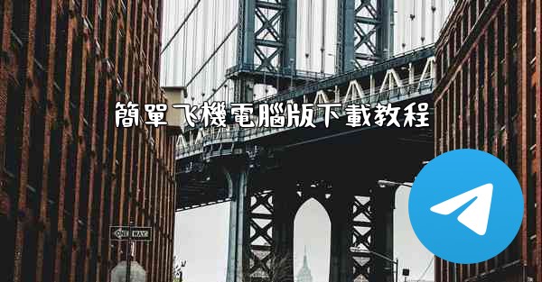 簡單飞機電腦版下載教程
