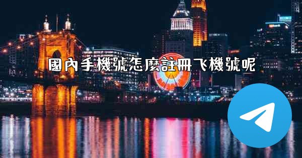 國內手機號怎麼註冊飞機號呢