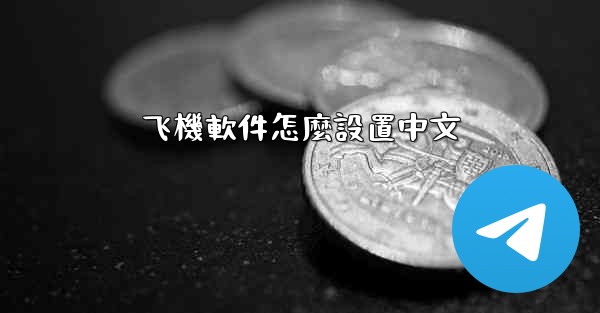 飞機軟件怎麼設置中文