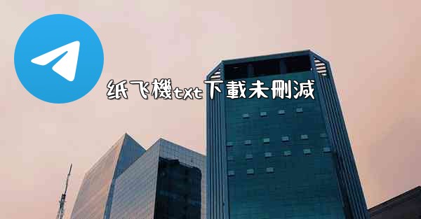 纸飞機txt下載未刪減