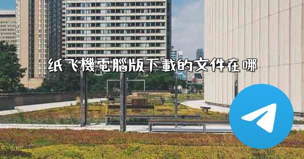 纸飞機電腦版下載的文件在哪