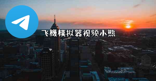 飞機模拟器视频小熊