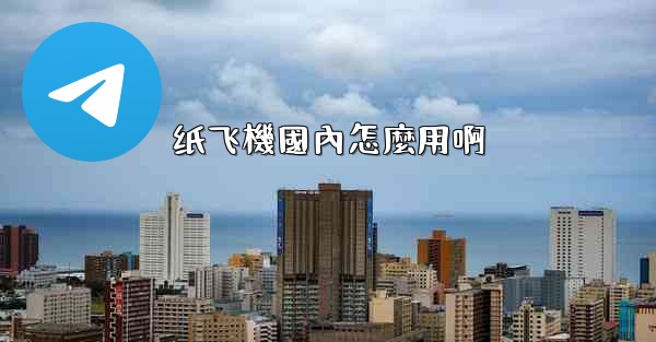 纸飞機國內怎麼用啊