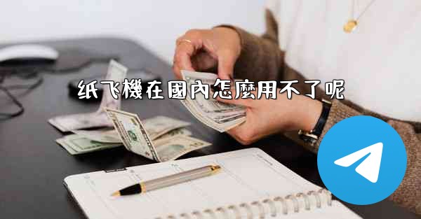 纸飞機在國內怎麼用不了呢