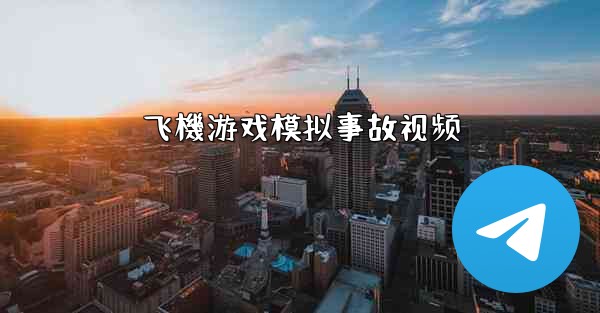 飞機游戏模拟事故视频
