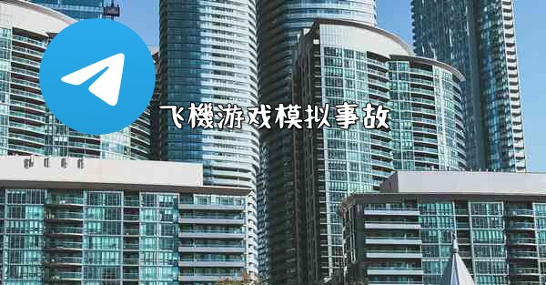 飞機游戏模拟事故