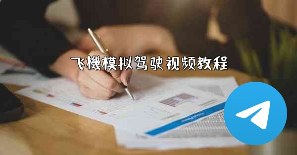 飞機模拟驾驶视频教程