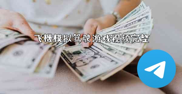 飞機模拟驾驶游戏视频完整