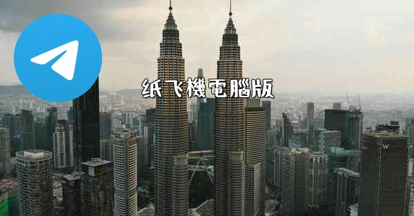 纸飞機電腦版