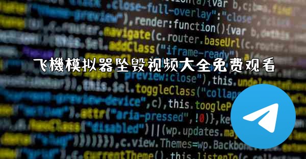 飞機模拟器坠毁视频大全免费观看