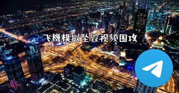 飞機模拟坠毁视频围攻