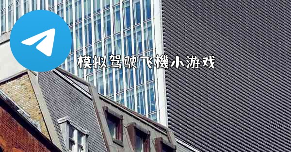 <b>模拟驾驶飞機小游戏</b>