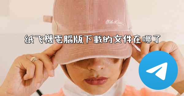 纸飞機電腦版下載的文件在哪了