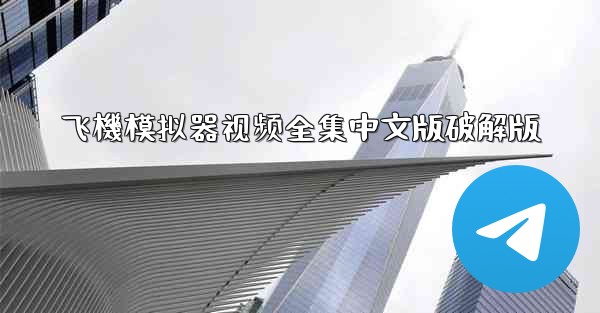 飞機模拟器视频全集中文版破解版