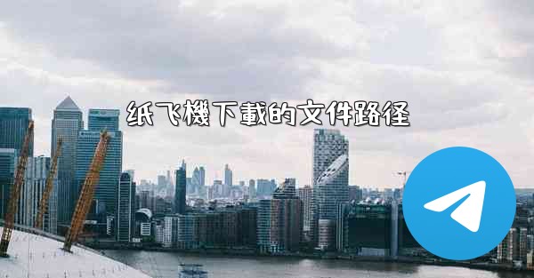 纸飞機下載的文件路径