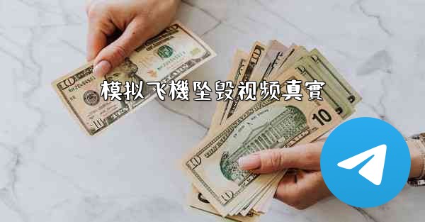 模拟飞機坠毁视频真實