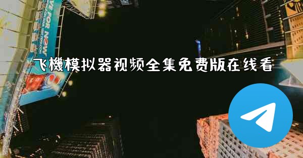 飞機模拟器视频全集免费版在线看