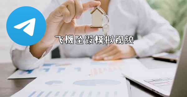 飞機坠毁模拟视频