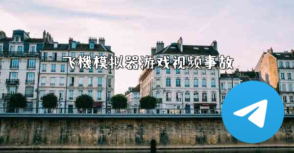 飞機模拟器游戏视频事故