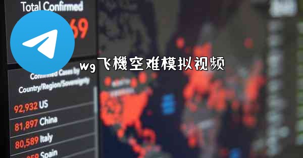 wg飞機空难模拟视频