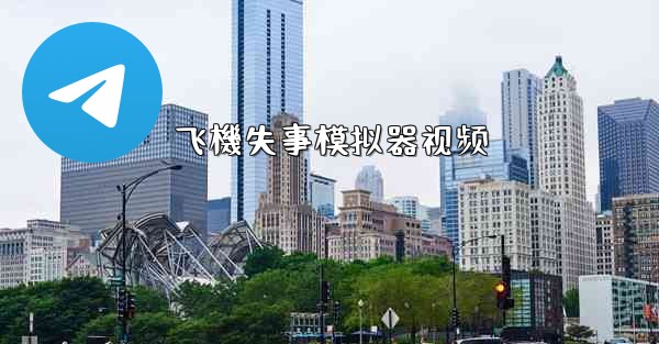 飞機失事模拟器视频