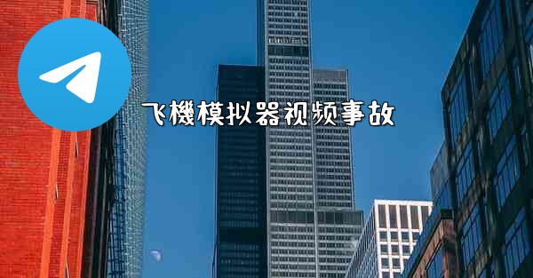 飞機模拟器视频事故