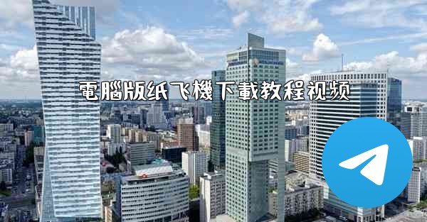 電腦版纸飞機下載教程视频