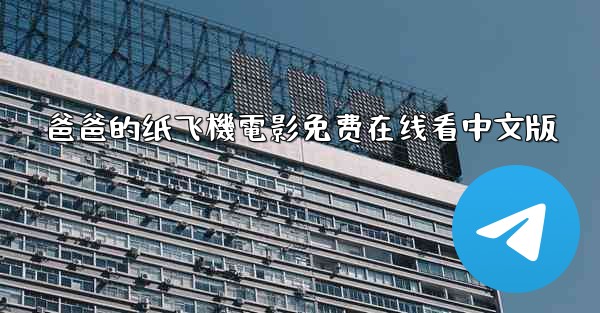 爸爸的纸飞機電影免费在线看中文版