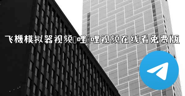 飞機模拟器视频哔哩哔哩视频在线看免费版