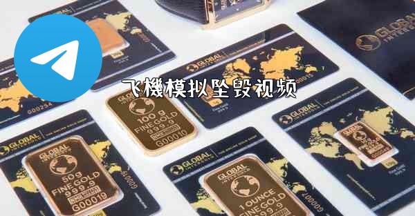 飞機模拟坠毁视频