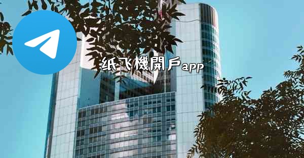 纸飞機開戶app
