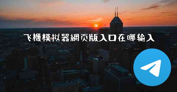 飞機模拟器網页版入口在哪输入
