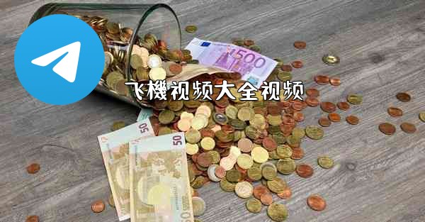 飞機视频大全视频