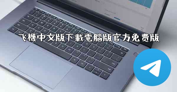 飞機中文版下載電腦版官方免费版