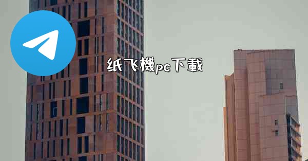 纸飞機pc下載