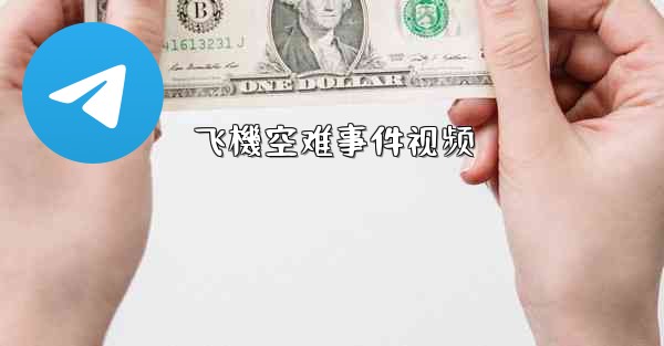 飞機空难事件视频