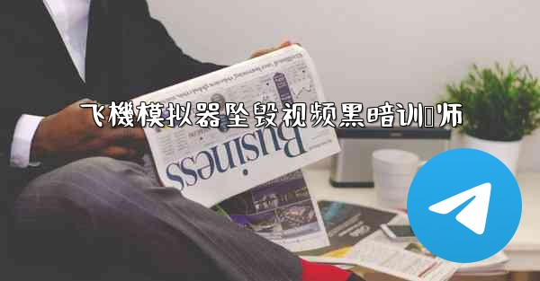 飞機模拟器坠毁视频黑暗训兽师