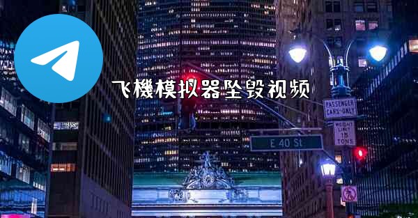 飞機模拟器坠毁视频